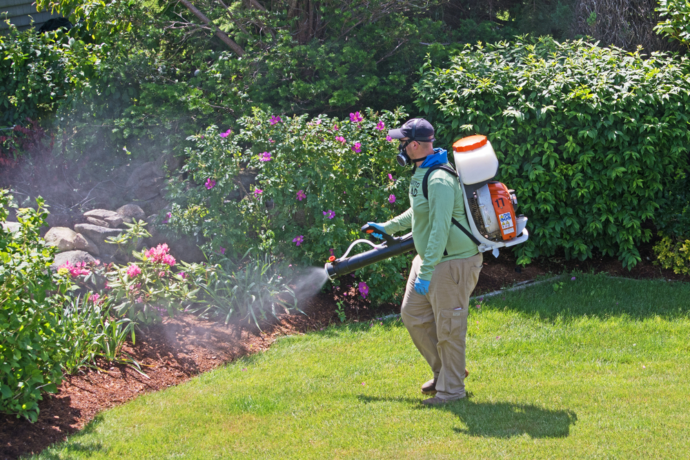 pest-control-worker-spraying-pesticides-in-cabinet-in-kitchen-and-using-flashlight